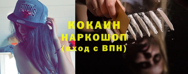 бошки Белокуриха