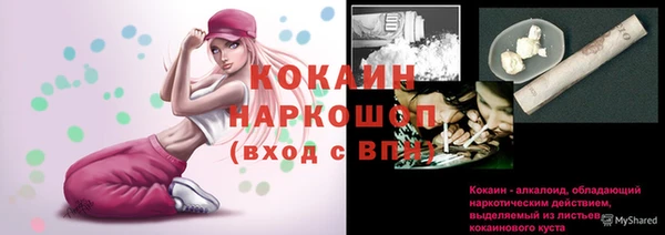 бошки Белокуриха