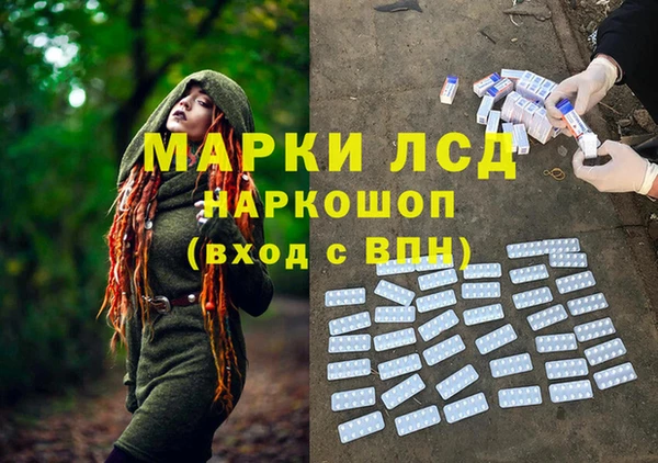 бошки Белокуриха