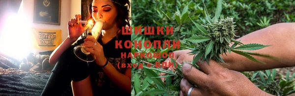 бошки Белокуриха