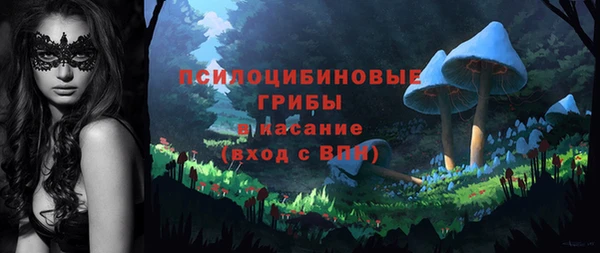бошки Белокуриха