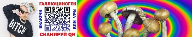 наркотики  Фёдоровский  Галлюциногенные грибы MAGIC MUSHROOMS 